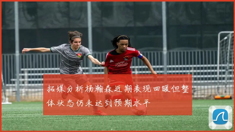 拓媒分析杨瀚森近期表现回暖但整体状态仍未达到预期水平